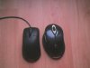 Next to old mouse.jpg