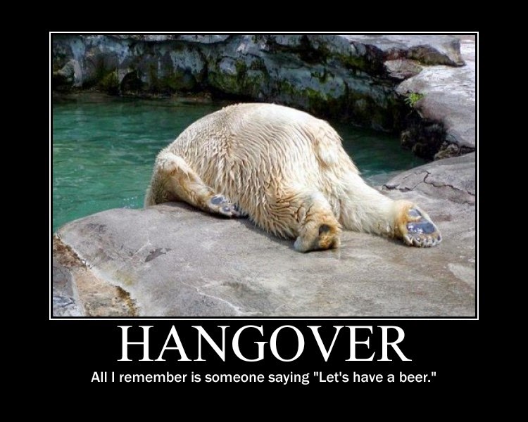 hangover+polar+bear.jpg