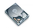 diamondmaxplus9.webp