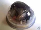 01sm.webp