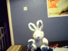 kiel.webp