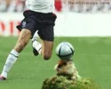 beckham_penalty.webp