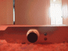 r0300034.gif