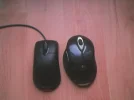 Next to old mouse.webp