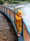 AA in the rain.webp