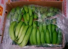 banane2a.webp