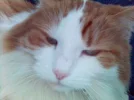 Picture(3).webp