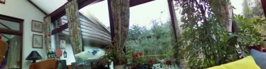 Picture(4).webp