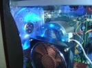 close up fans.webp