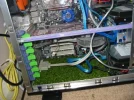 Grass.webp