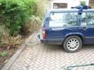 Gardening.webp
