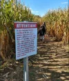 Sign65.webp