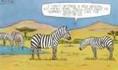 newcastle.webp