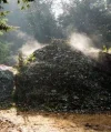 compost heap1.webp