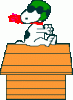 snpy1.gif