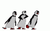 penguins_dance.gif
