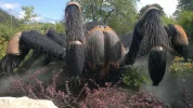 2013-08-16-442.webp