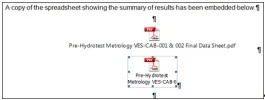 02 - New embedded pdf.webp