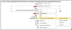 03 - Original embedded pdf - Packager Shell Object.webp