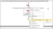 04 - New embedded pdf - Acrobat Document Object.webp