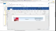 Word Error.webp