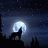WyreTheWolf