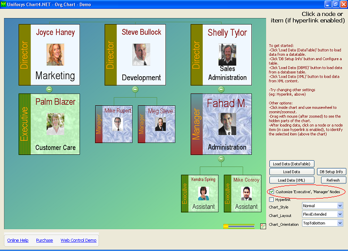 org-chart-node-tag-customization.png