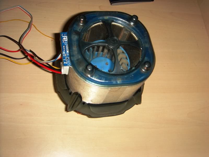 DSC04136.jpg
