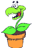 Venus_flytrap_4.gif