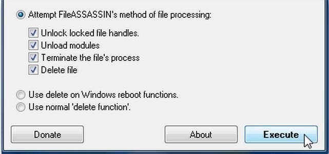 Execute to delete Undeletable Files