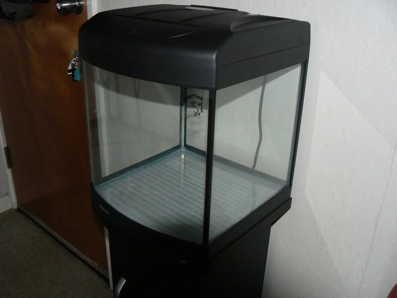 P1000412.jpg