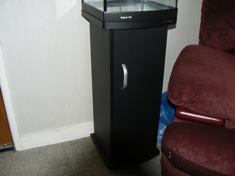 P1000411.jpg