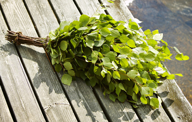 vihta-vai-vasta.jpg