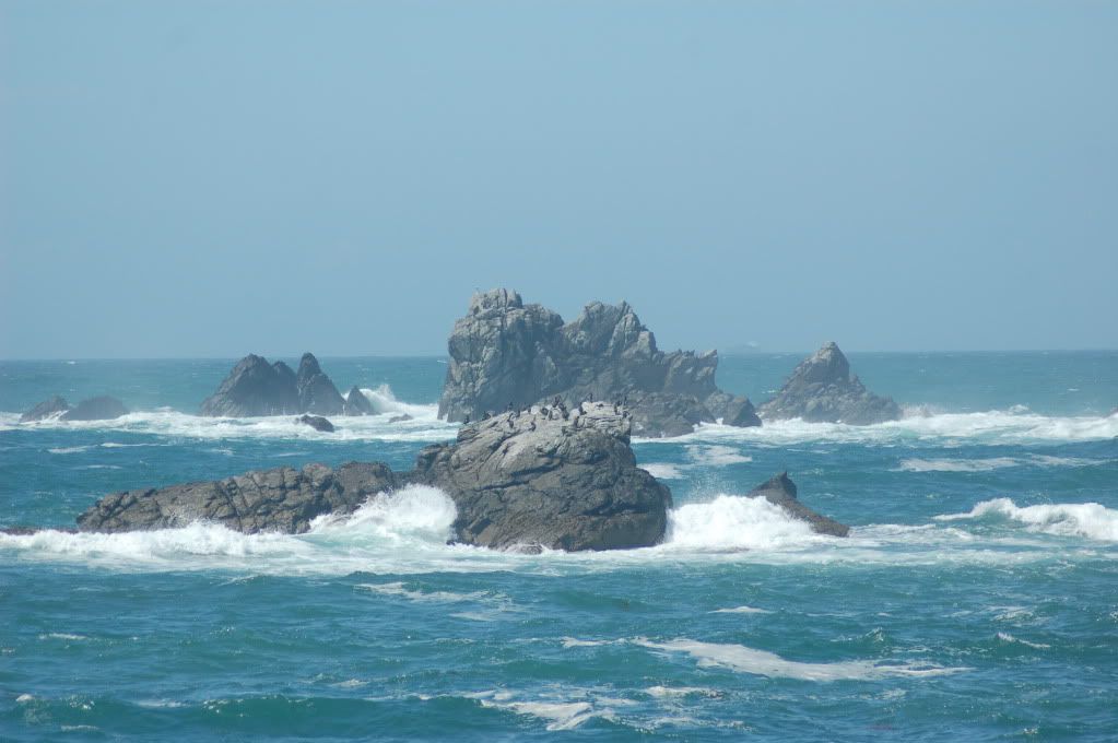 DSC_0019.jpg