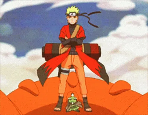 Zp8NX.gif