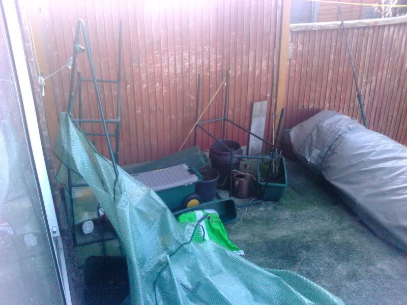 2012-01-05102712.jpg