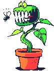 Venus_flytrap_3.gif