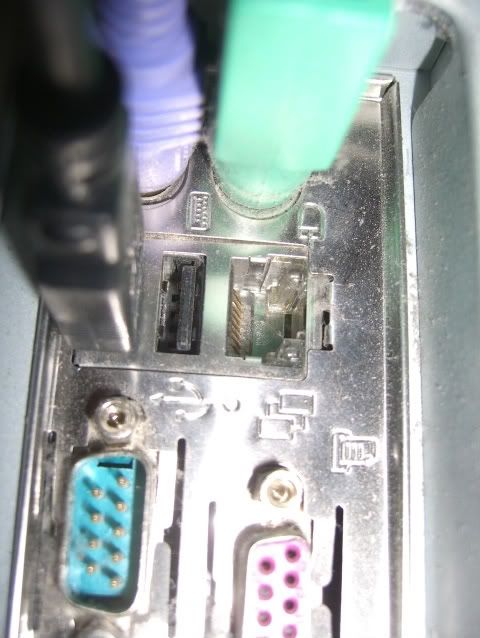 CIMG9774.jpg