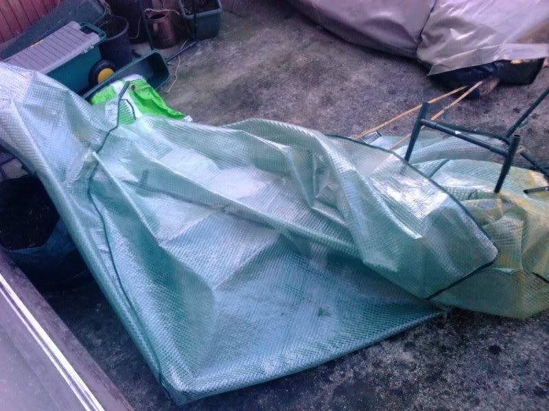 2012-01-05102725.jpg
