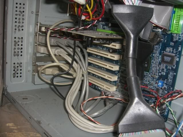 CIMG9778.jpg